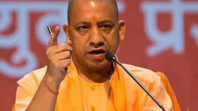 City Forest in UP: Yogi government is making country's largest city forest in Vrindavan