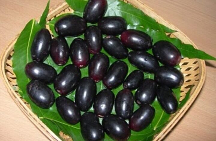 jamun vinegar