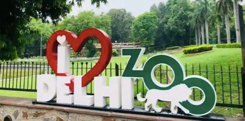 delhi zoo