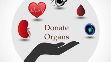 organ donation-