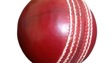 test-match-cricket-leather-ball-