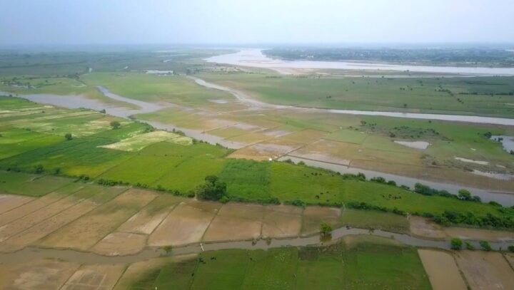 City Forest in UP: Yogi government is making country's largest city forest in Vrindavan