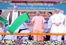 योगी सरकार पशुपालकों को उपलब्ध कराएगी टेलीमेडिसिन की सुविधा, एक कॉल पर उपलब्‍ध होंगे डॉक्‍टर