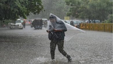 UP के सात जिलों में बारिश का ऑरेंज अलर्ट, जानिए अपने जिले का हाल    