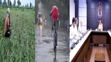 UP: बारिश-ओले से नौ जिलों की फसलें खराब, सात लोगों की मौत; CM Yogi ने दिए अहम निर्देश   