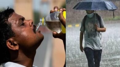16 राज्यों में बारिश और MP-बिहार समेत 10 राज्यों में हीटवेव का अलर्ट, स्‍वास्‍थ्‍य मंत्रालय ने बुलाई बैठक