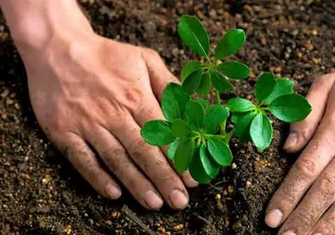‘एक नल एक पेड़’ अभियान: यूपी के ग्रामीण क्षेत्रों में रोपे जाएंगे 5 लाख से अधिक पौधे