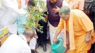 शनिवार को 30 करोड़ पौधे लगाकर प्रदेश को हरा-भरा बनाएगी योगी सरकार